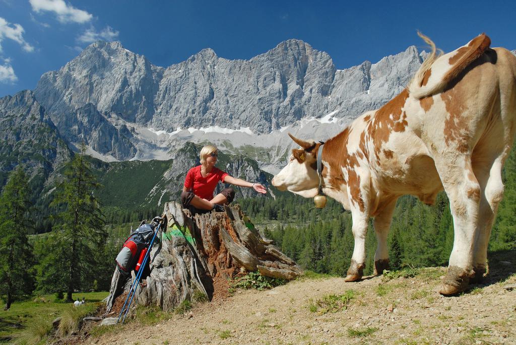 Bio-Holzhaus Und Landhaus Heimat Ramsau am Dachstein Exterior photo